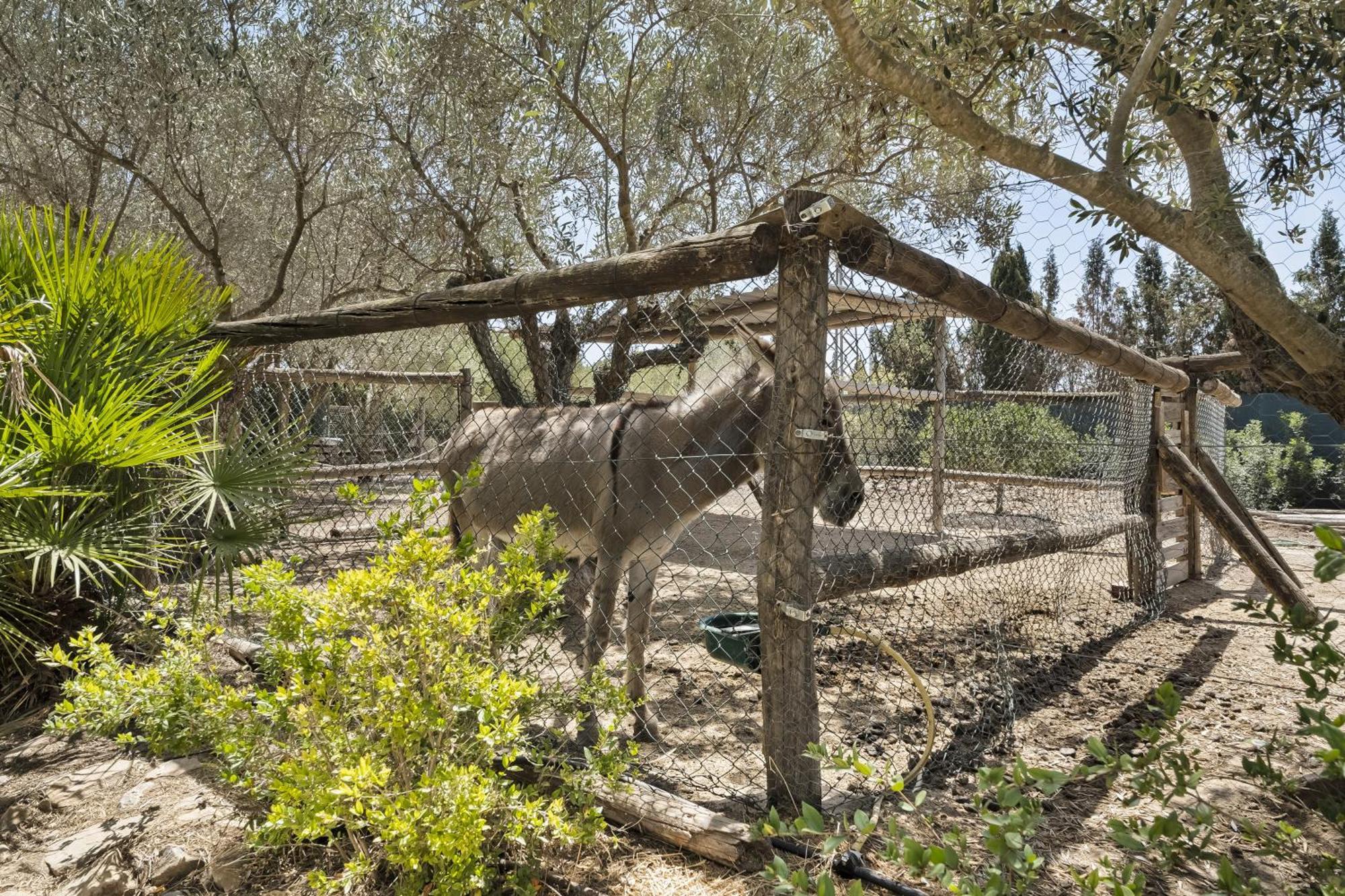 필라데라호라다다 Cambiardeaires Rural Piedra 빌라 외부 사진